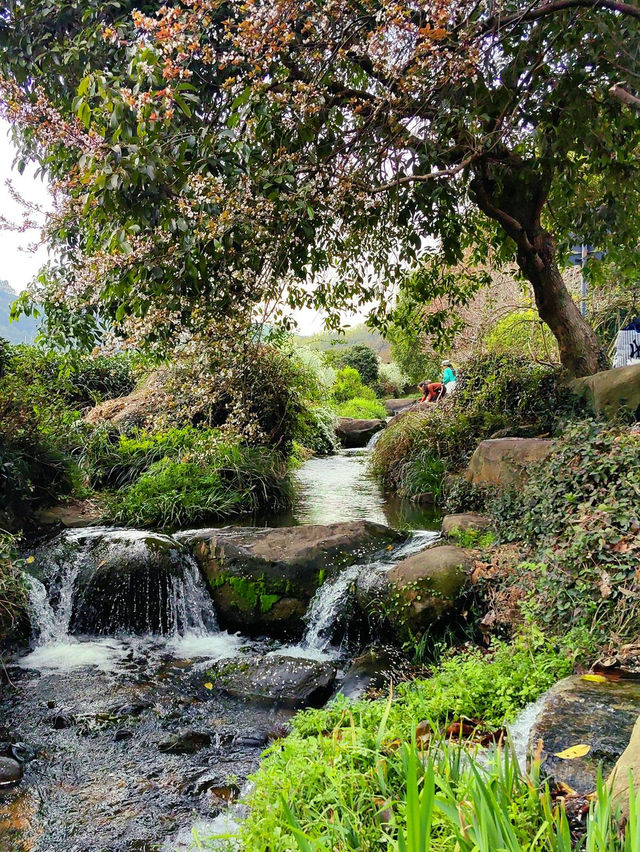 中國茶葉博物館雙峰館畔