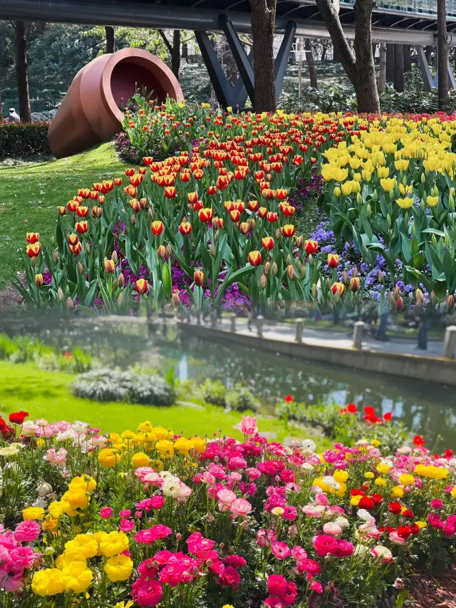 上海周邊，隨手拍｜徐匯版莫奈花園