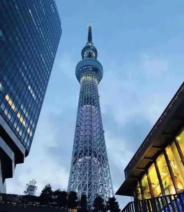 日本晴空塔：東京天空樹