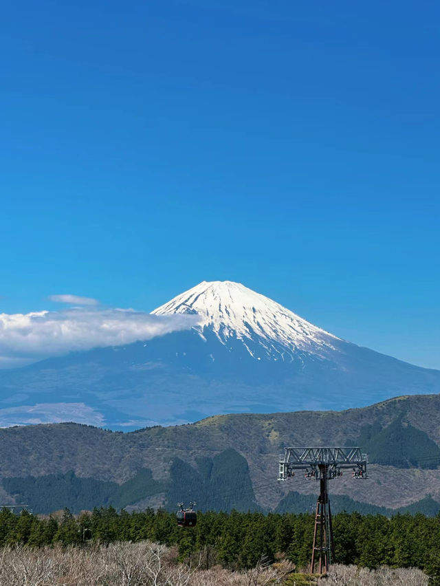 Perfect Lake Ashi  hunting and mount Fuji 🗻🇯🇵