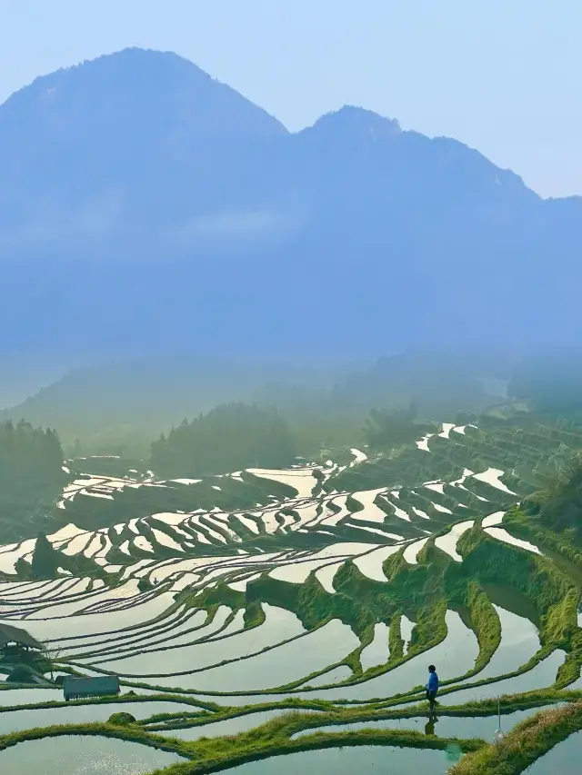 It is indeed the last secret place in Jiangnan, the sunrise over the terraced fields is too stunning