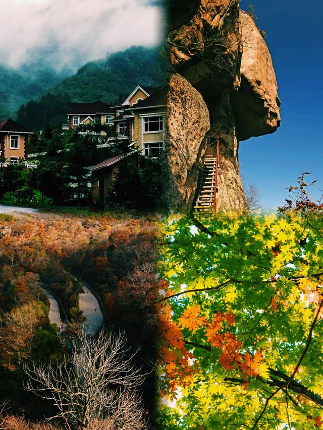 天橋溝保姆級攻略 天橋溝保姆級攻略
