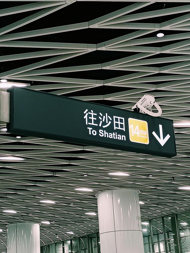 時空隧道深圳之眼 | 全國地鐵站的天花板