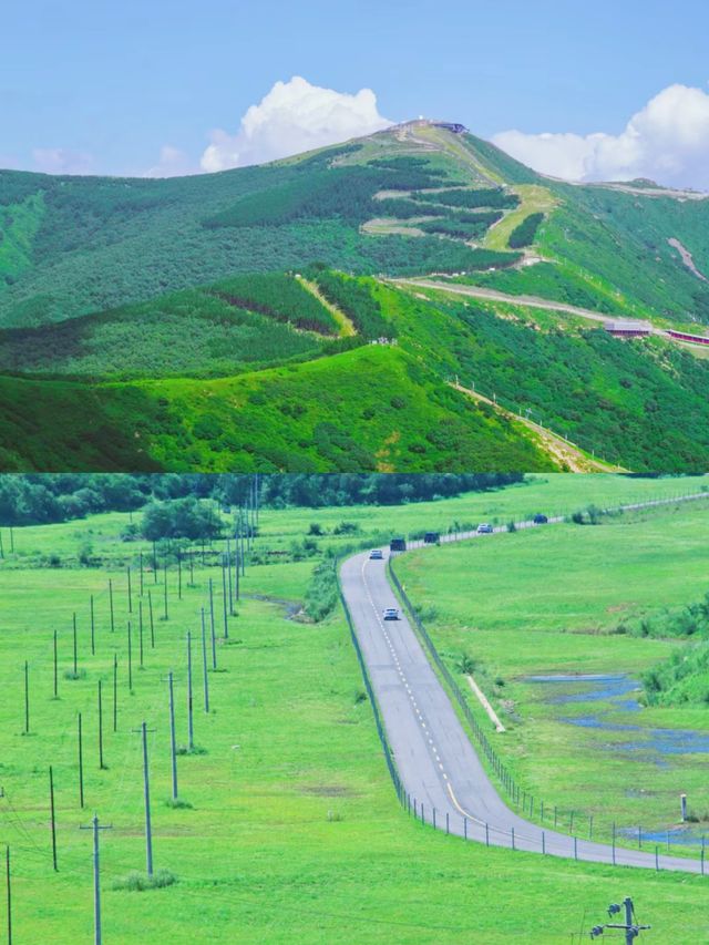 北京徒步|在海坨山谷漫步雲端
