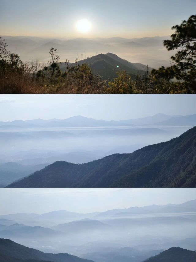 超小眾旅遊目的地--雲南景谷