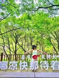 不是荷蘭是河南!也太浪漫了吧!!!