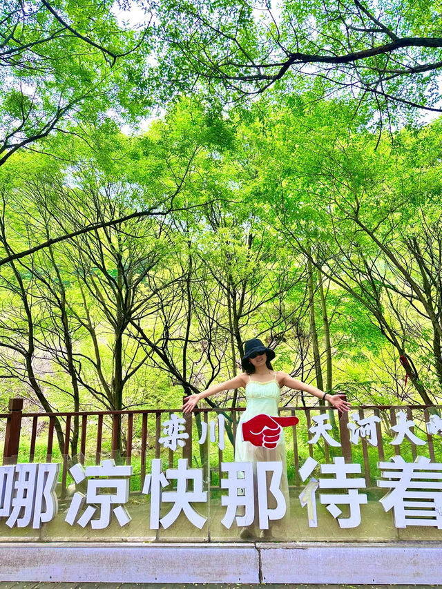 不是荷蘭是河南!也太浪漫了吧!!!