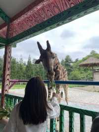 野生動物園裡有什麼