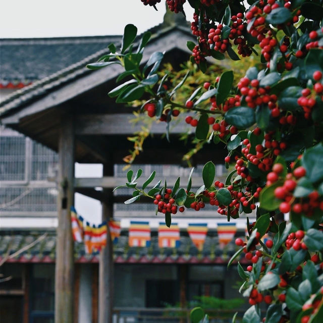 Discovering the Hidden Gem of Ningbo: Changshou Temple🏛️🛖