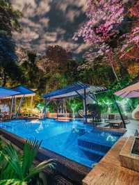 🌴🌊 Costa Rica's Coastal Gem: Makanda by the Sea 🏖️✨