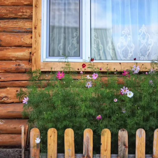 How to Travel in Hulunbuir.
