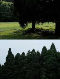 大容山森林公園