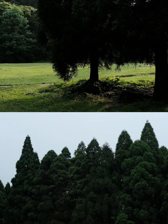 大容山森林公園