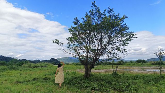 清遠飛來峽的水上公路