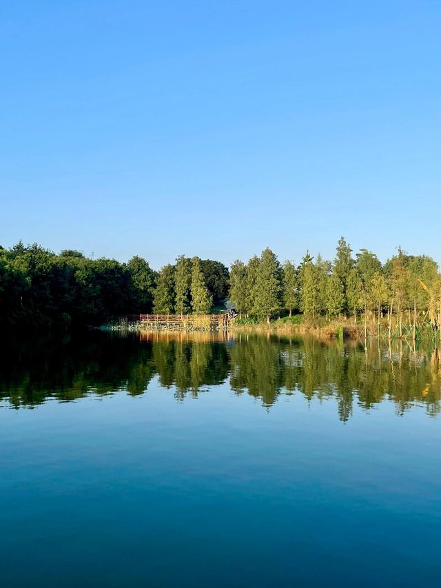 廣州拍照｜掛綠湖 天然氧氣吧