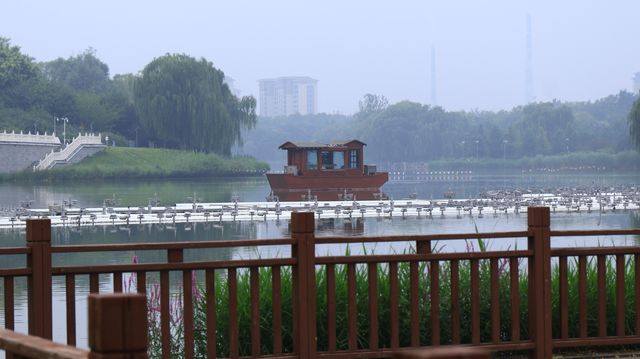 【超詳細！河北省園博園打卡攻略，帶你玩轉綠色仙境】