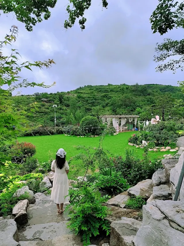 Trại cắm trại Jinan｜Giấc mơ của Alice