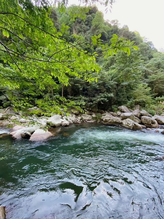 长沙周邊遊 | 株洲神龍谷森林公園