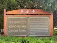 探秘古都遺珠,在西安草堂寺邂逅了一場千年禪意之旅