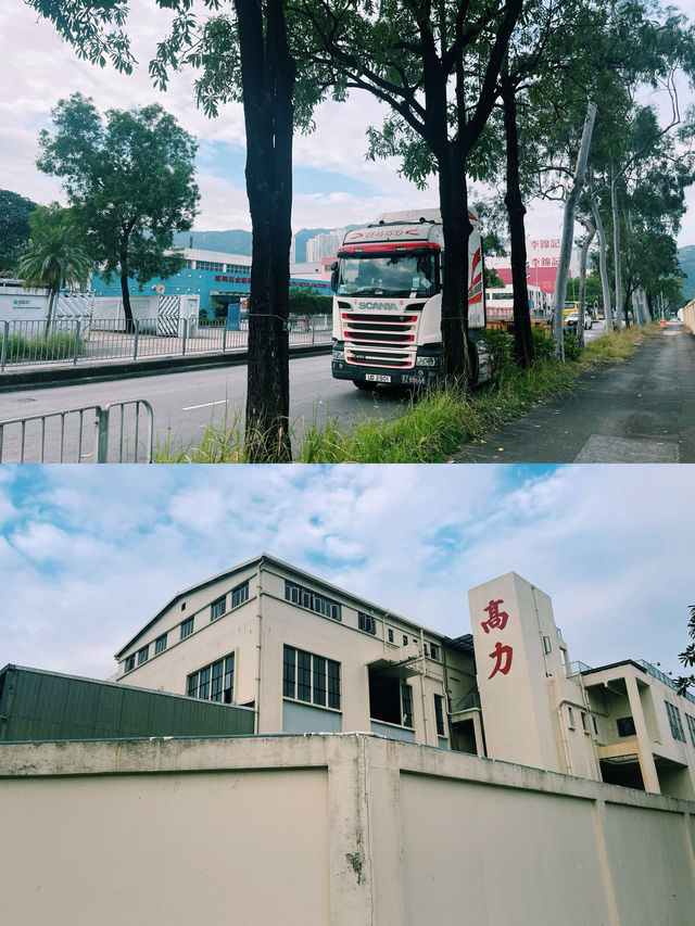 大埔半日遊路線人煙稀少舒服寧靜衝