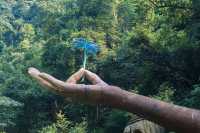 每年夏天必去！佛山出發！清遠漂流攻略看著篇