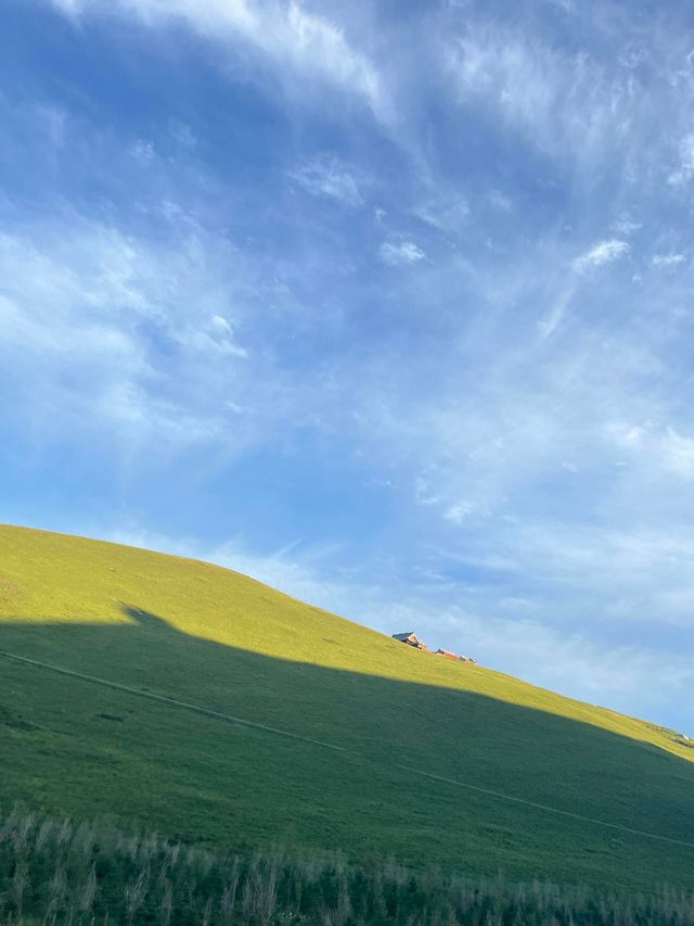 這是內蒙紅石崖是典型的高山牧場