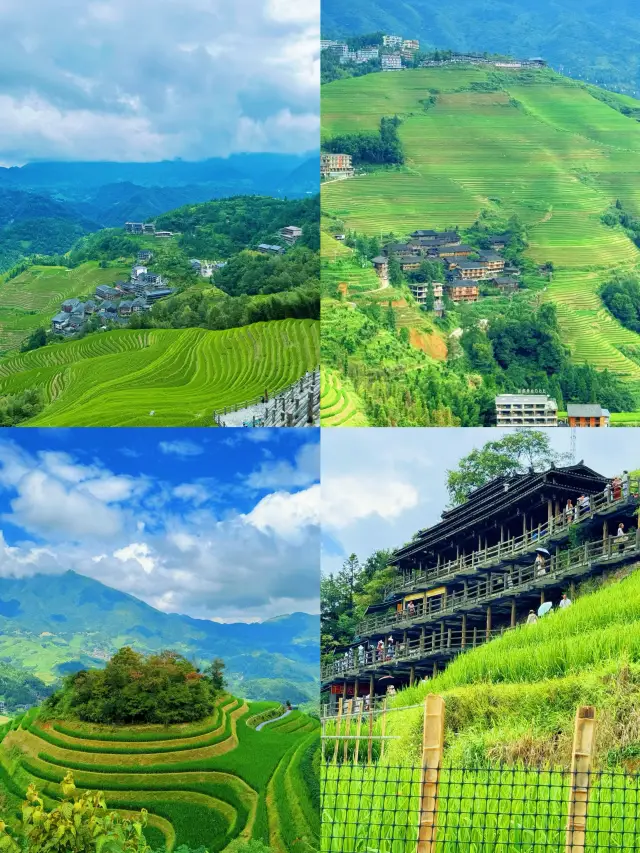 Longji Rice Terraces Travel Guide