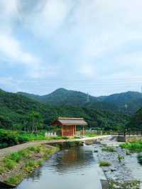 來三門感受這如詩如畫的旅行