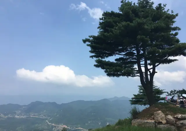 宜昌百里荒丨“南方天然大空調”，是避暑的好去處