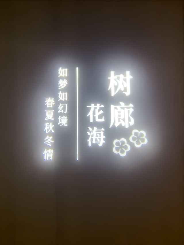 遊覽丹東歷史文化體驗館