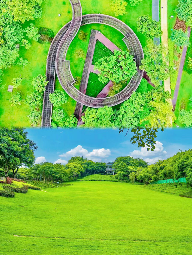 深圳可以野外奔跑嘅公園。