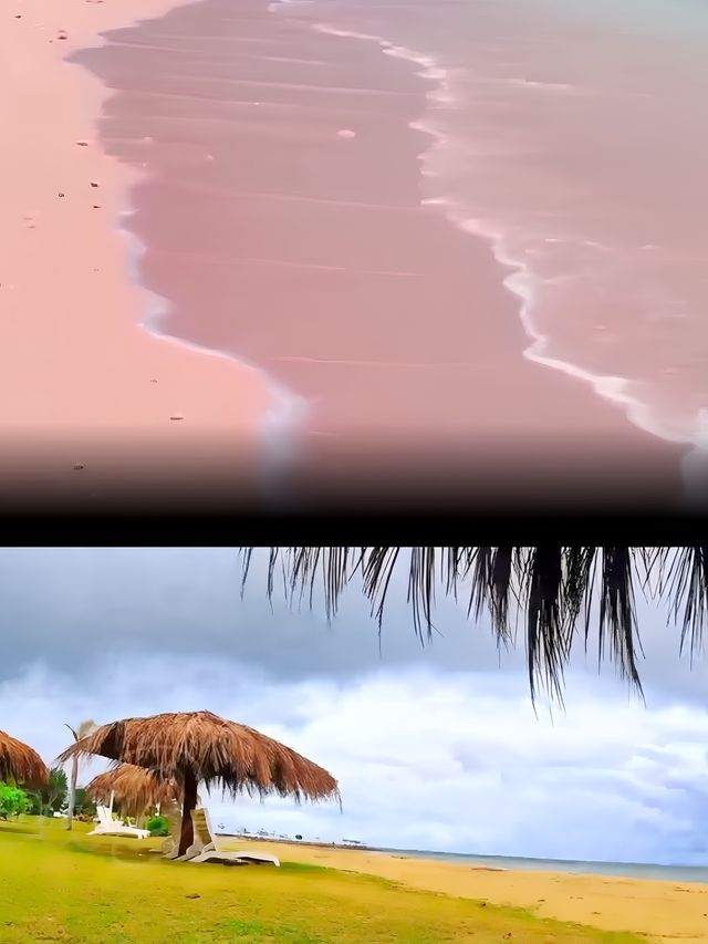 溫暖的陽光，粉紅色的沙灘美不勝收的納閩。