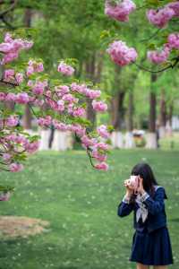 不止有櫻花，武漢這個寶藏公園真的很好拍！。