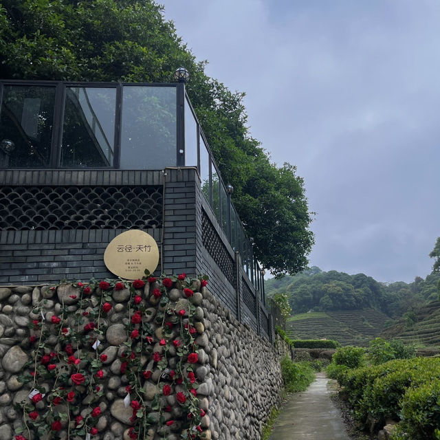 항저우 녹차밭 뷰 보면서 힐링하는 카페 云径天竹咖啡馆🍃