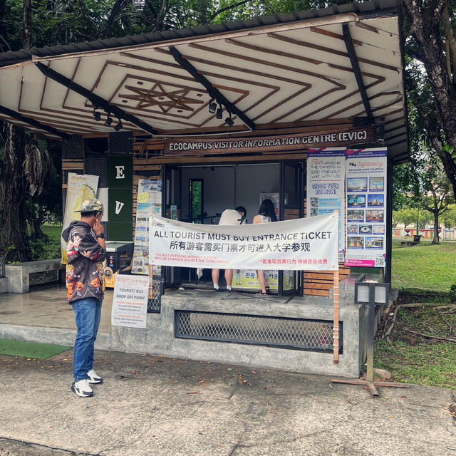 코타키나발루 시티투어 필수코스 사진스팟 사바 주립대학교 UMS 핑크 모스크🕌