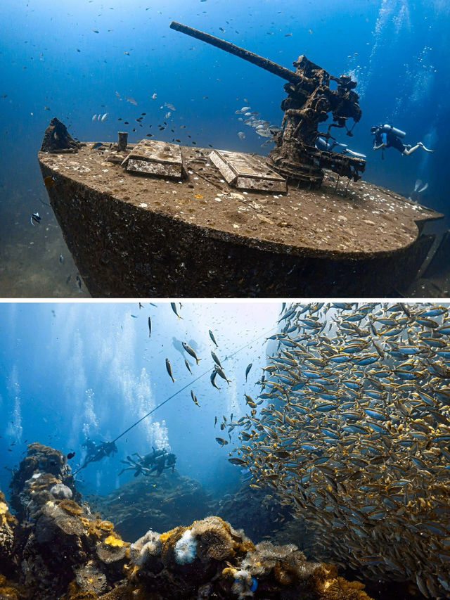 蘇梅島及周邊海域浮潛、潛水攻略，睇呢一篇就夠啦～建議收藏！。