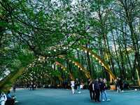 生態索契｜里維埃拉公園深度遊，呼吸黑海邊的清新空氣。