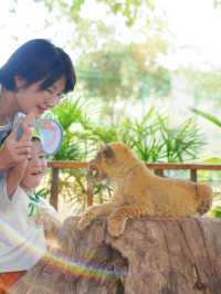 重慶自己的野生動物園您確定不帶孩子來玩嗎？。