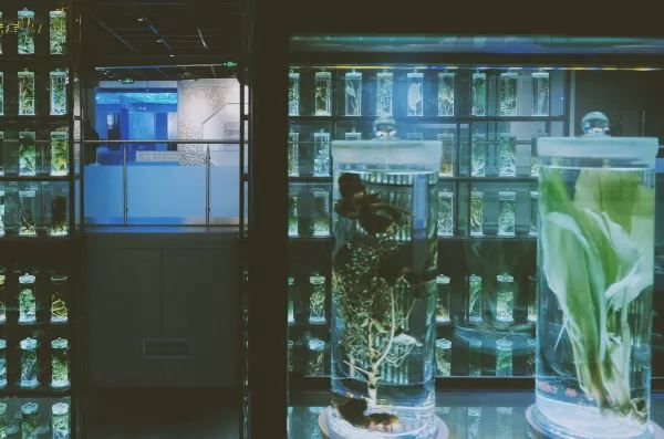 一定是廣州夢核感最強的博物館❗📸