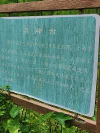 北宋華林書院——湮沒在荒蕪中的歷史。