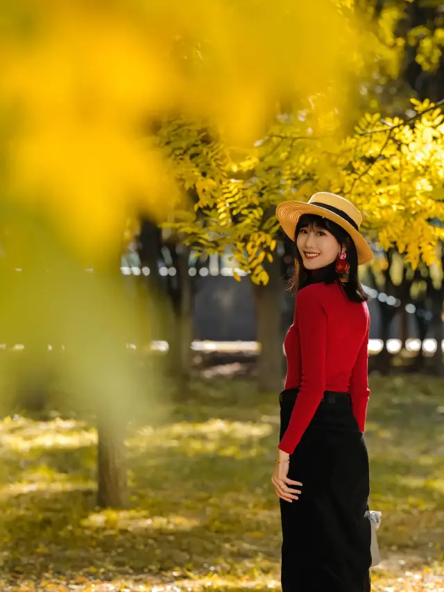 北京｜奧林匹克森林公園。