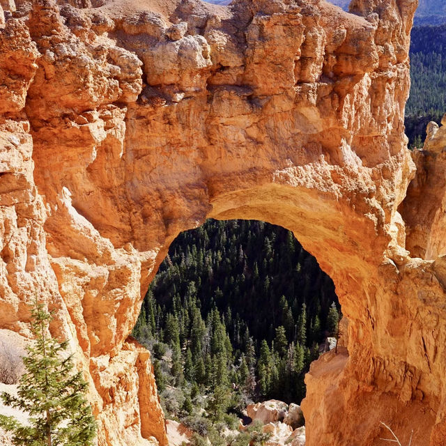 Grand Canyon National Park