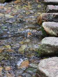 溫州輕度行山冷門路線的極致體驗。