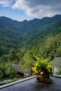 成都周邊遊｜登山賞秋，住進秋天的五光十色裡。