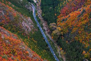 Autumn in Xinglong Mountain, a poetic and picturesque Yuzhong. 