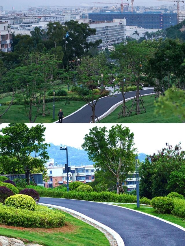 廈門又多了一個散步好去處。