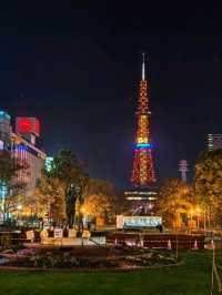 狸小路商店街夜生活之美