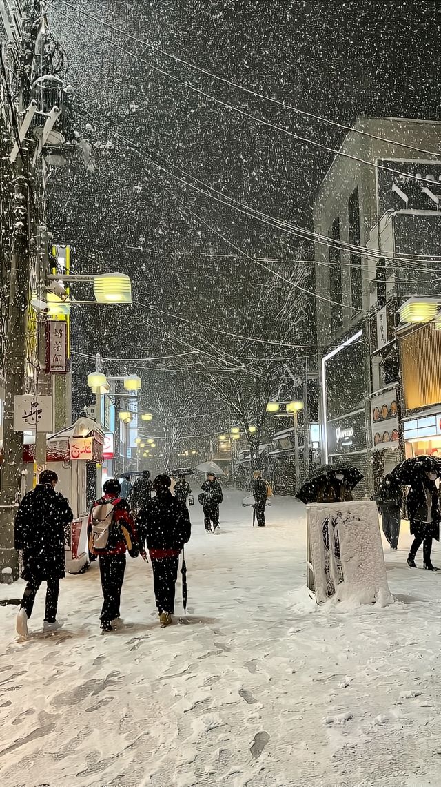 《北海道：夢幻之境的冰雪與浪漫之旅》。