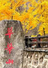 翠華山之遊：邂逅奇景的旅程。