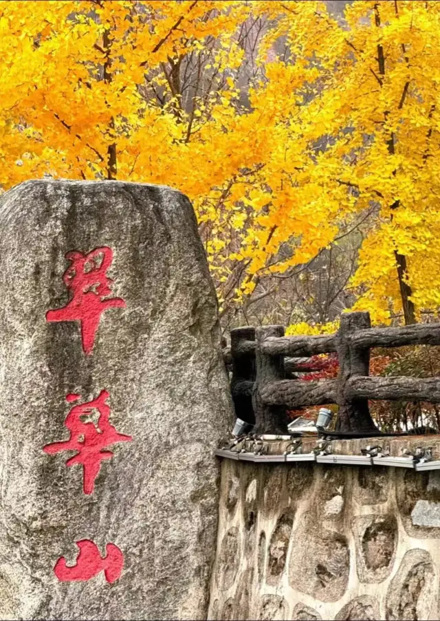 Mount Cuihua: A journey to encounter wonders. 